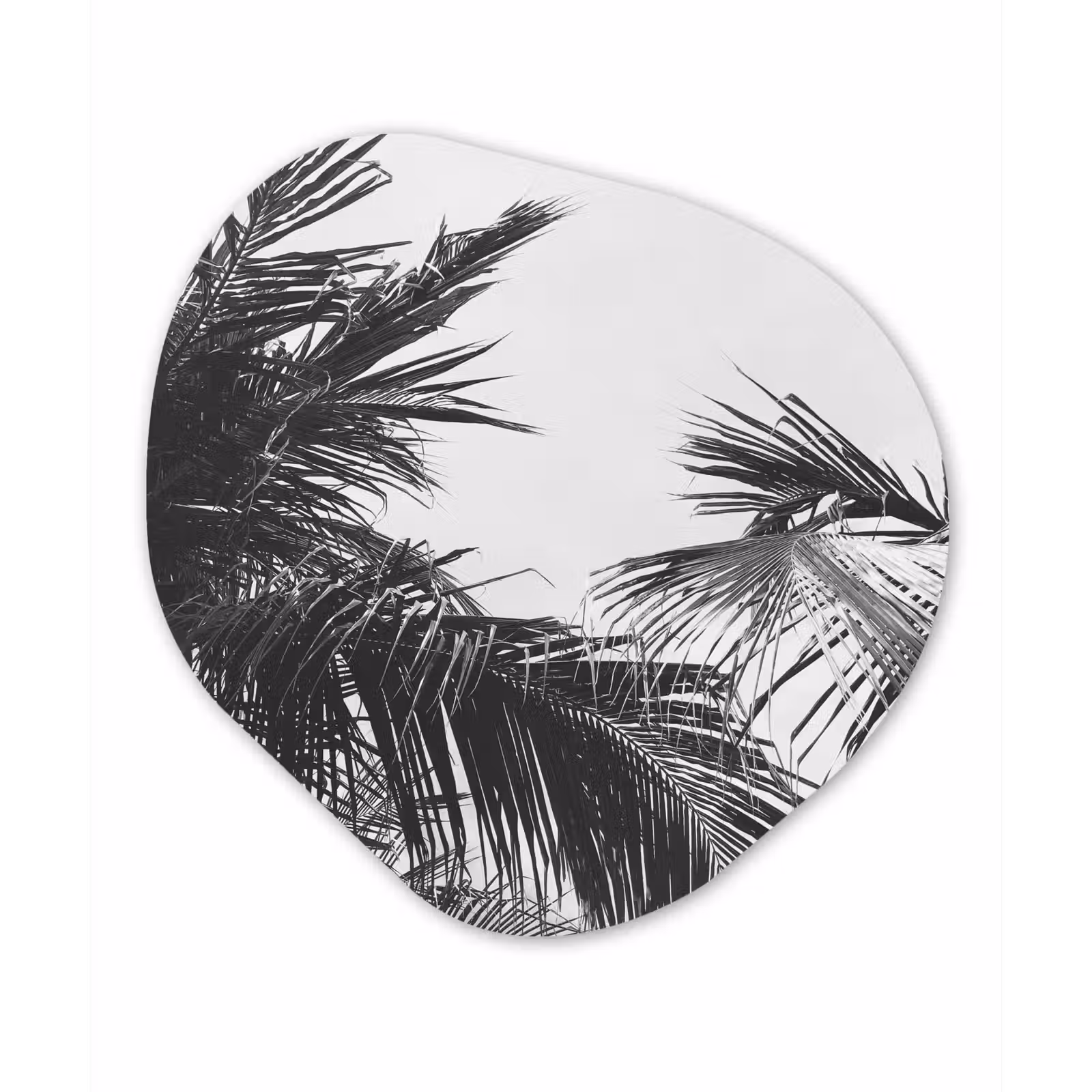 Organische Formen – Aluminium – Palmbladeren - Natuur - Vintage - Palmboom — 1
