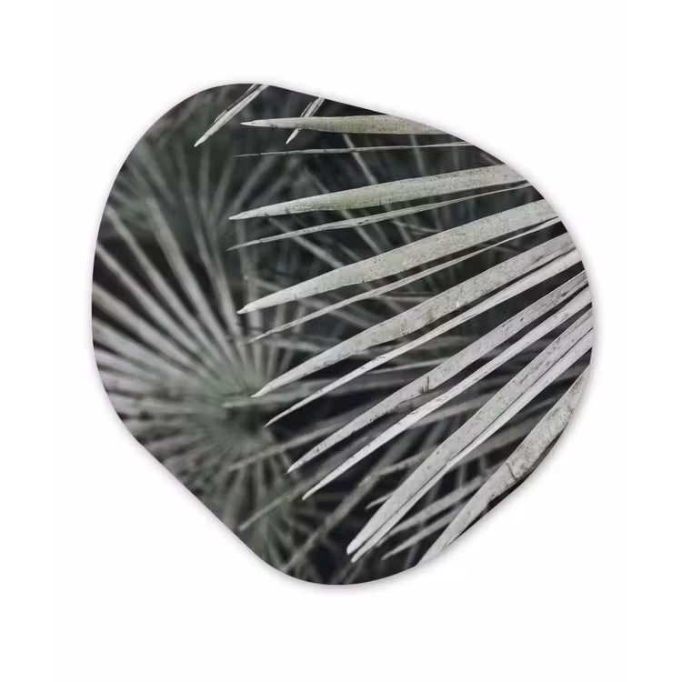 Organische Formen – Aluminium – Bladeren - Groen - Palm — 1