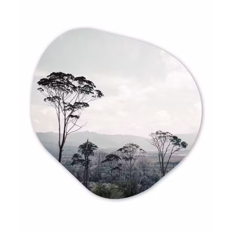 Organische Formen – Aluminium – Bomen - Lucht - Natuur — 1