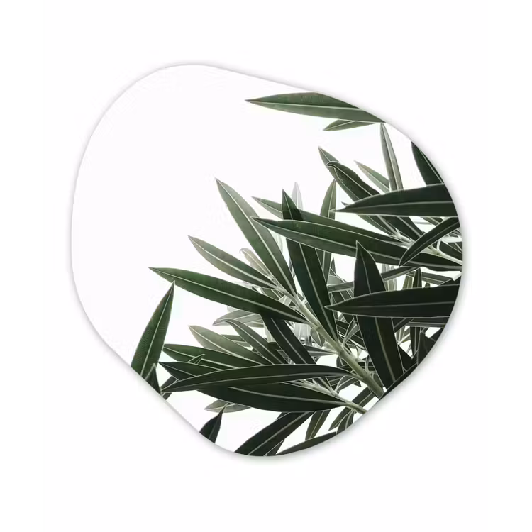 Organische Formen – Aluminium – Natuur - Planten - Bladeren — 1