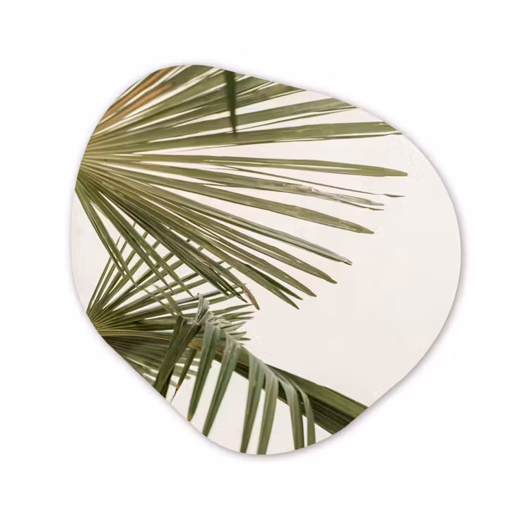 Organische Formen – Aluminium – Palmbladeren - Groen - Natuur — 1