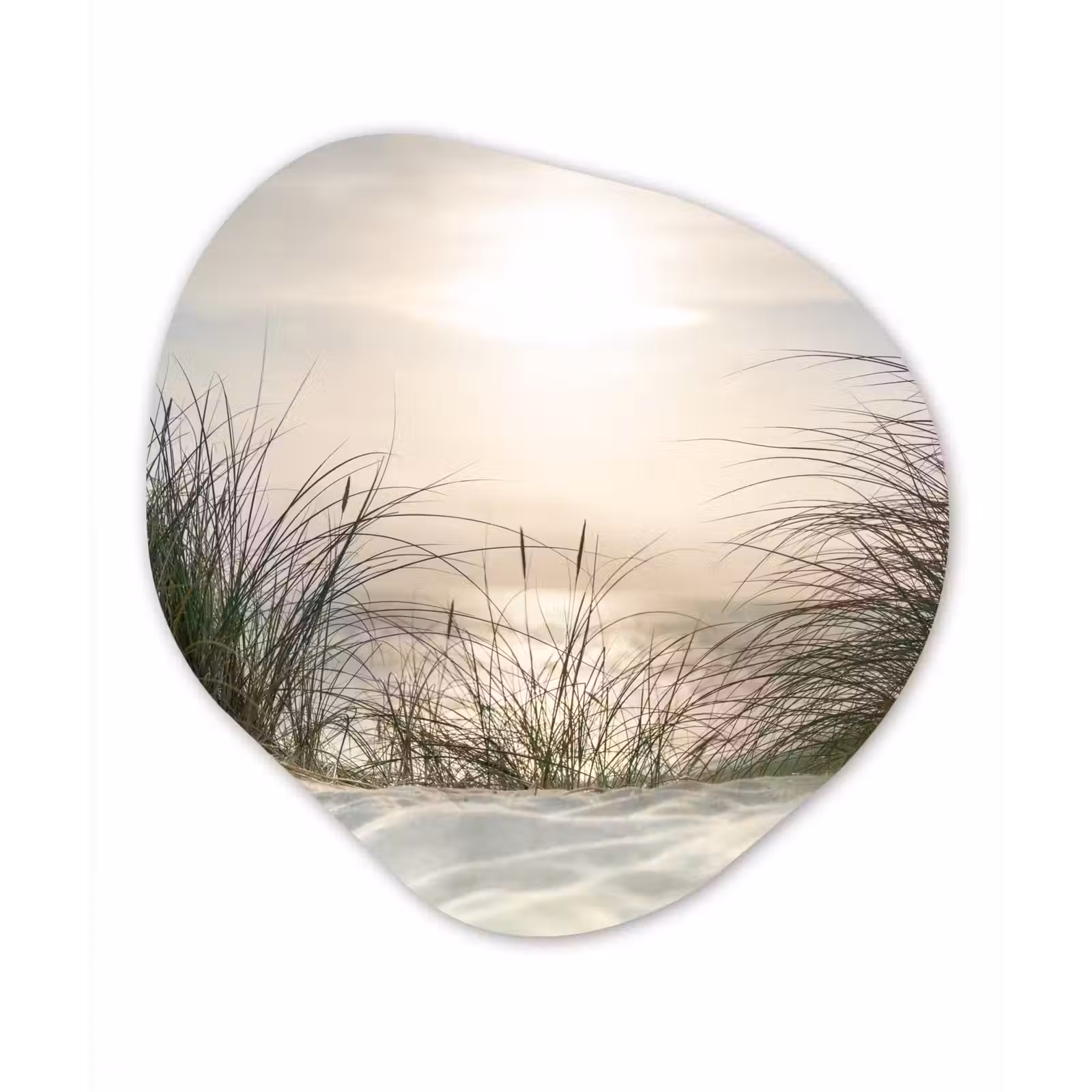 Organische Formen – Aluminium – Zand - Gras - Zon — 1