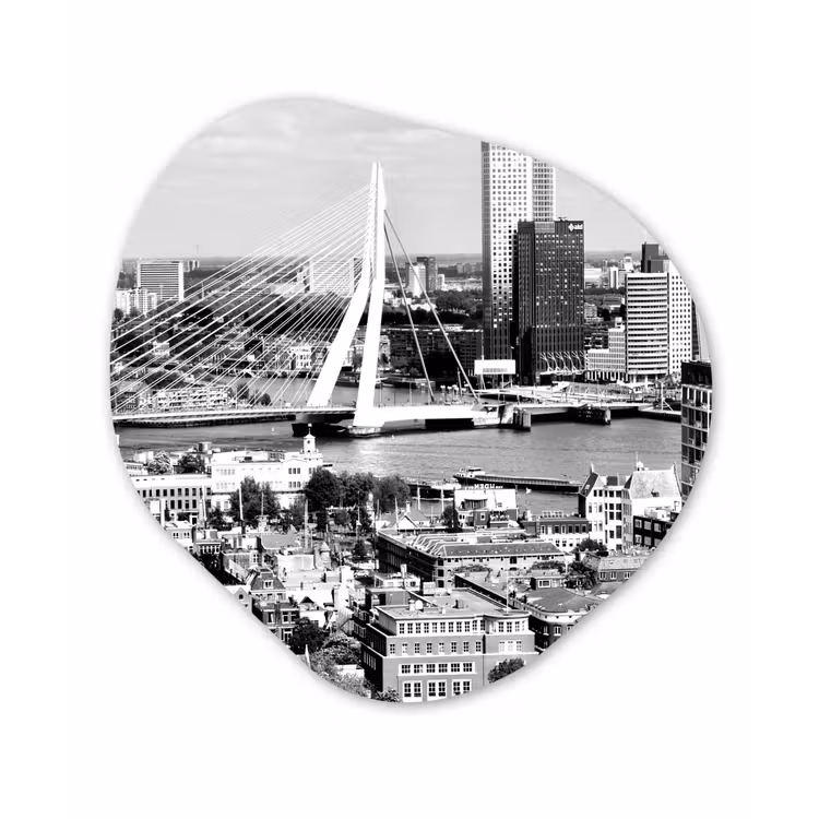 Organische Formen – Aluminium – Rotterdam - Skyline - Zwart - Wit — 1