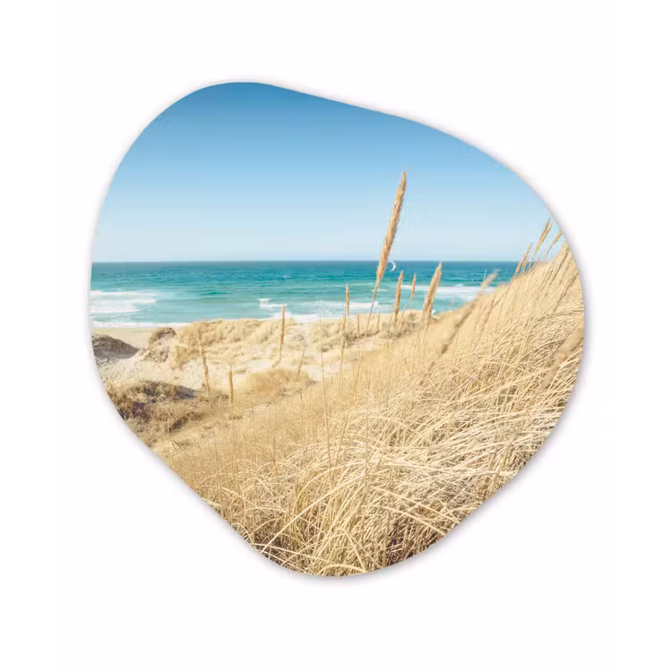 Organische Formen – Aluminium – Strand - Duin - Noorwegen — 1