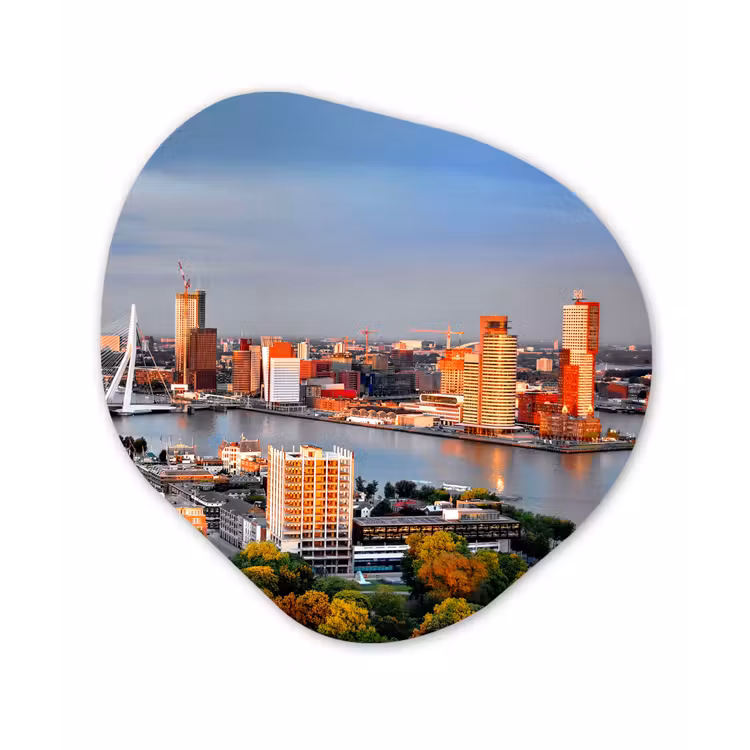 Organische Formen – Aluminium – Rotterdam - Skyline - Boom — 1