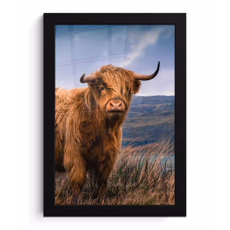 Poster met lijst - Schotse Hooglander - Berg - Water - Natuur - Koe