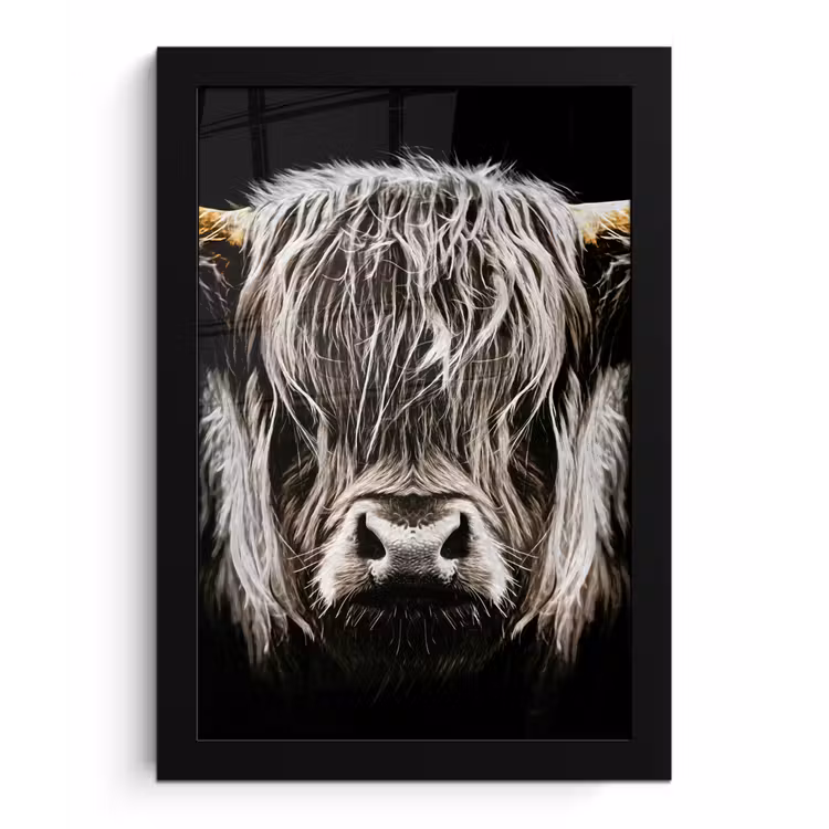 Poster met lijst - Schotse hooglander - Goud - Hoorns - Zwart wit - Koe - Dieren