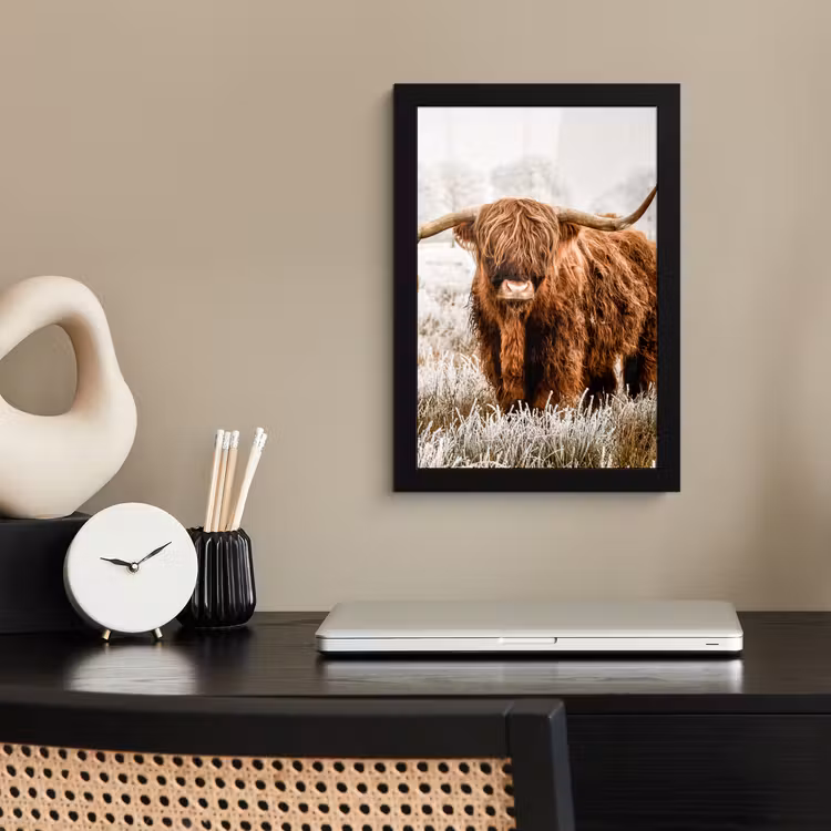 Poster met lijst - Schotse hooglander - Koe - Natuur - Winter — 2