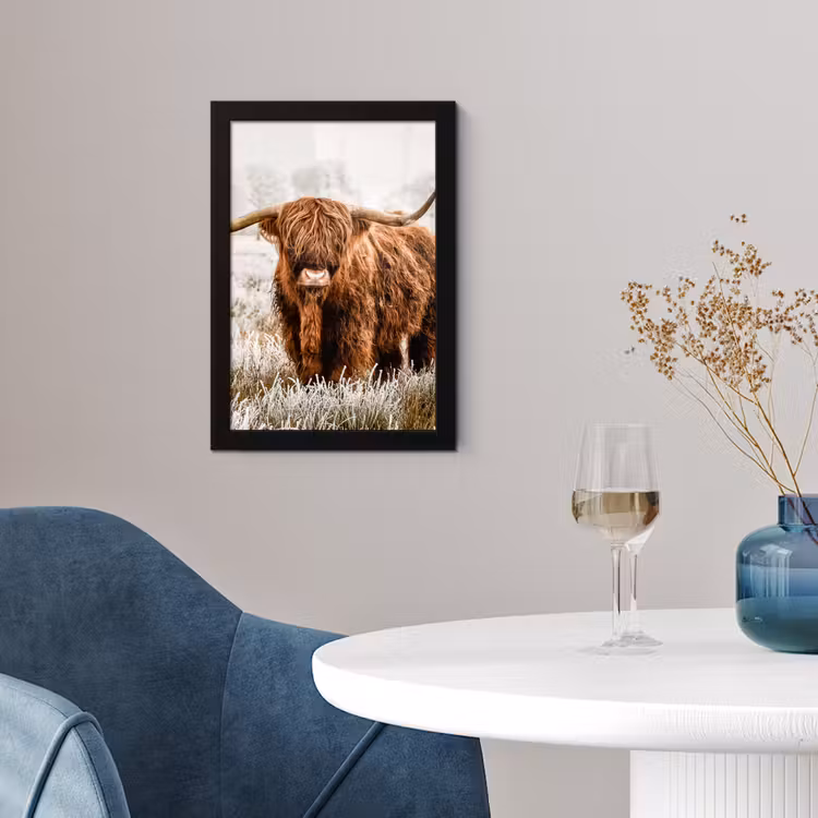 Poster met lijst - Schotse hooglander - Koe - Natuur - Winter — 4