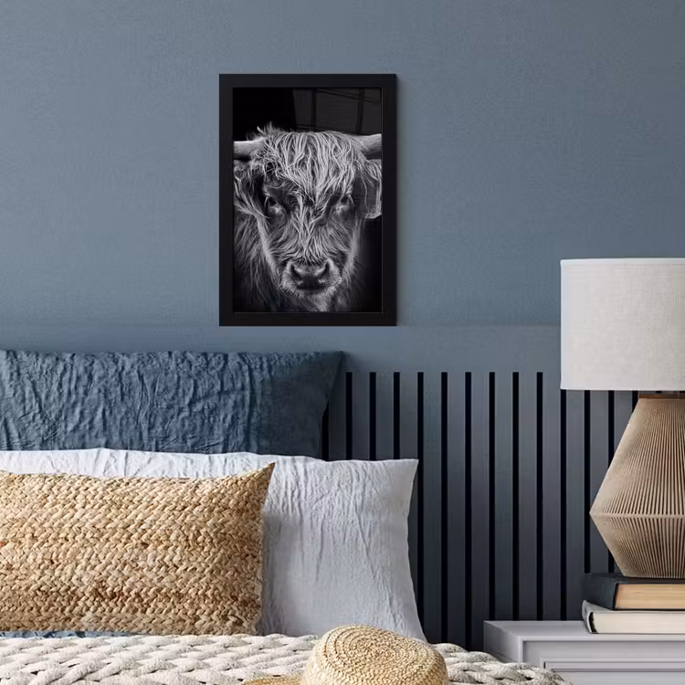 Poster met lijst - Schotse hooglander - Zwart - Koe - Dieren — 3