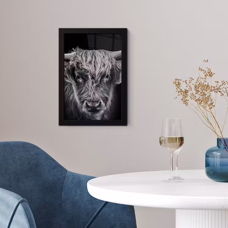 Poster met lijst - Schotse hooglander - Zwart - Koe - Dieren — 4