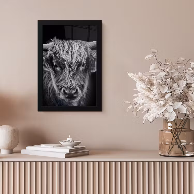Poster met lijst - Schotse hooglander - Zwart - Koe - Dieren — 5