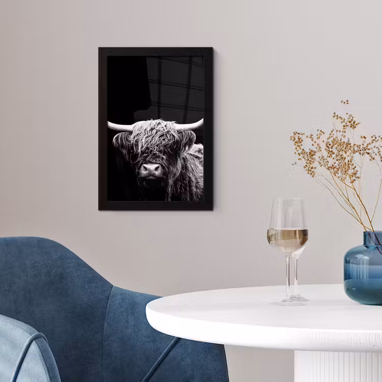 Poster met lijst - Schotse Hooglander - Koe - Zwart - Wit - Dieren — 4