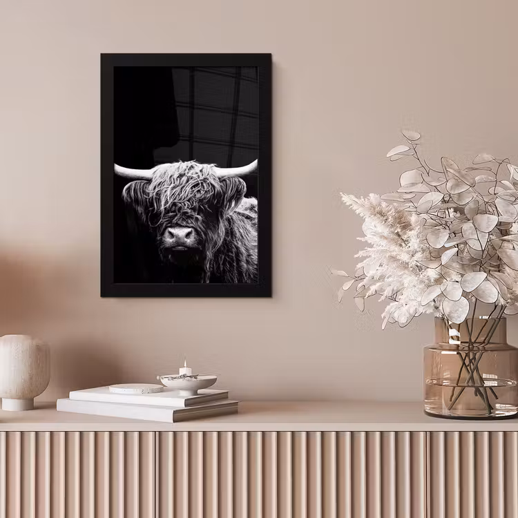 Poster met lijst - Schotse Hooglander - Koe - Zwart - Wit - Dieren — 5