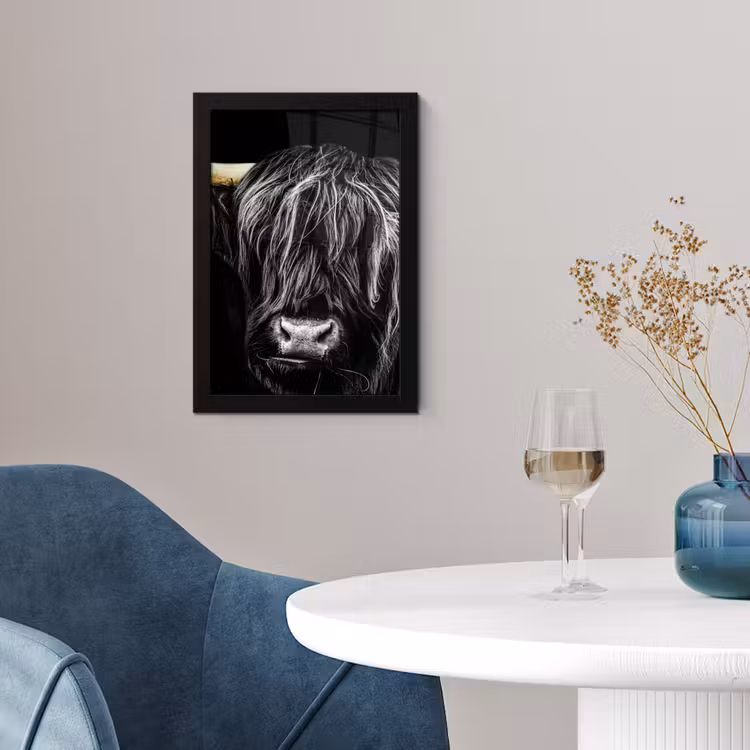 Poster met lijst - Schotse hooglander - Goud - Vacht - Dieren - Koe — 4