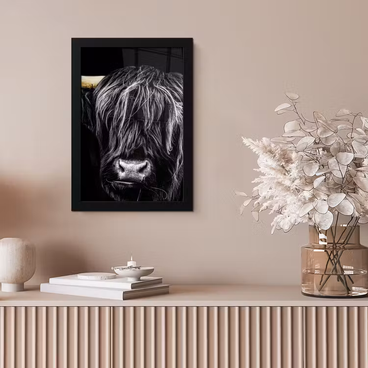 Poster met lijst - Schotse hooglander - Goud - Vacht - Dieren - Koe — 5