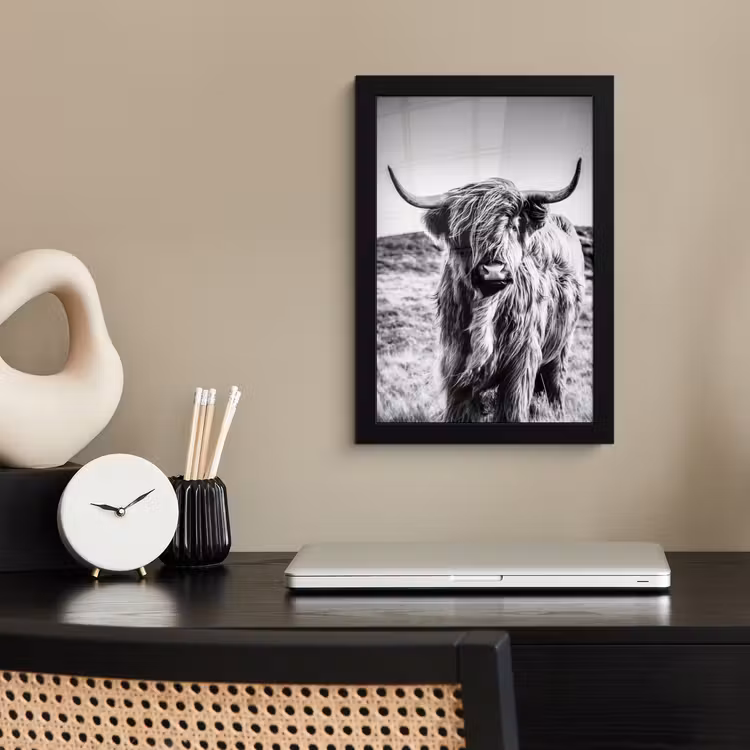 Poster met lijst - Schotse hooglander - Natuur - Koe - Zwart - Wit — 2