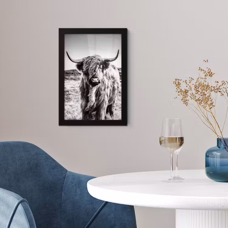 Poster met lijst - Schotse hooglander - Natuur - Koe - Zwart - Wit — 4