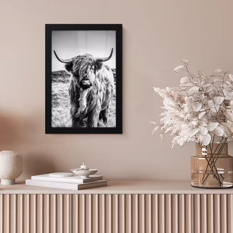 Poster met lijst - Schotse hooglander - Natuur - Koe - Zwart - Wit — 5
