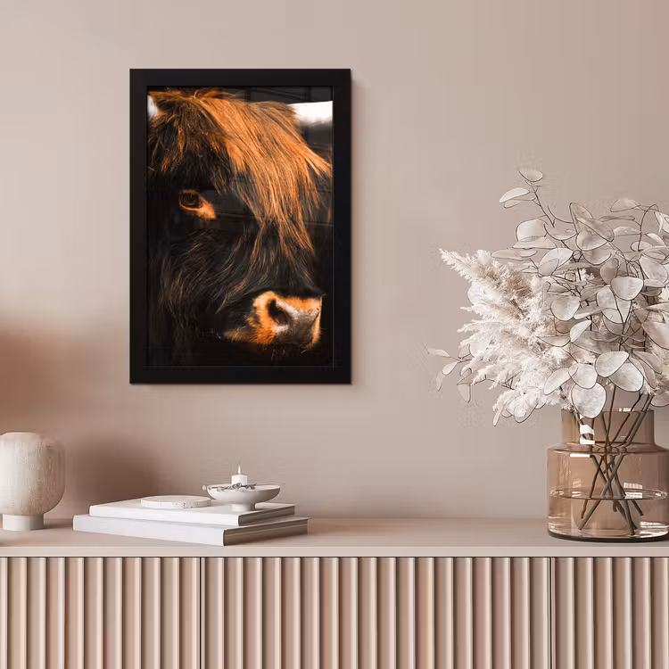 Poster met lijst - Schotse hooglander - Zwart - Koe - Hoorn - Dieren — 5