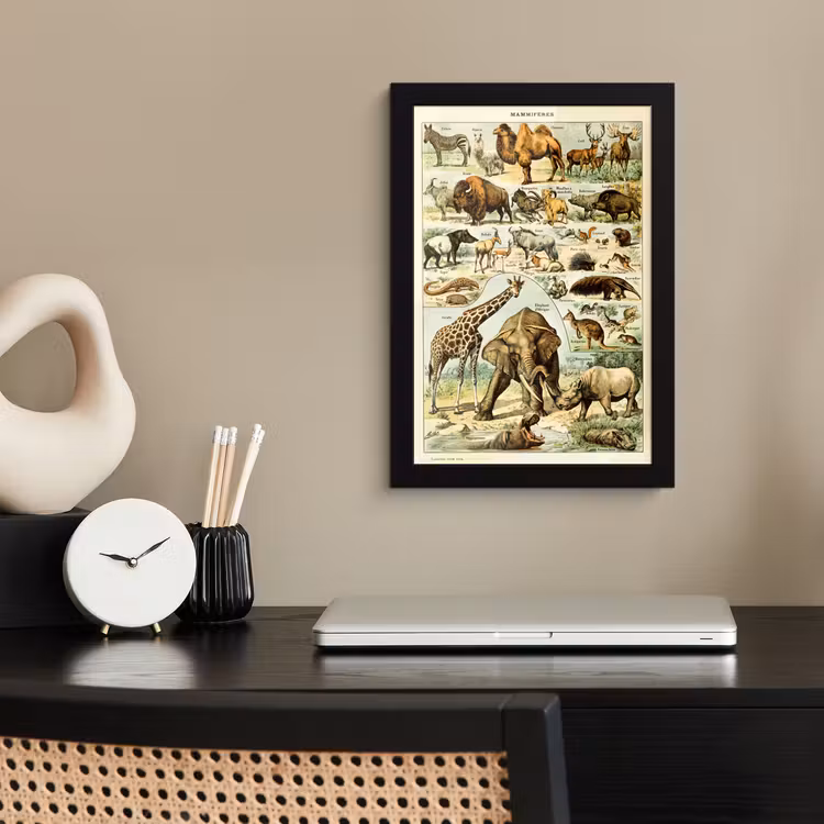 Poster met lijst - Dieren - Kameel - Giraffe - Vintage - Adolphe Millot — 2