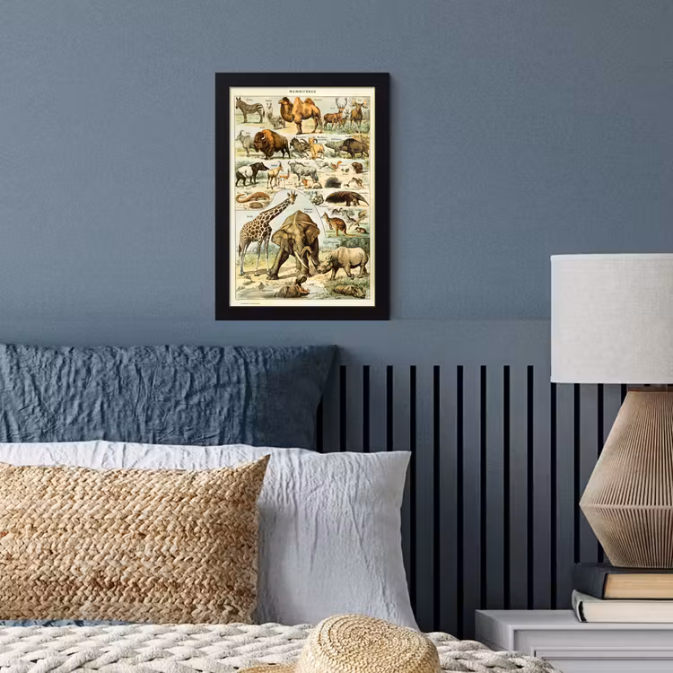 Poster met lijst - Dieren - Kameel - Giraffe - Vintage - Adolphe Millot — 3