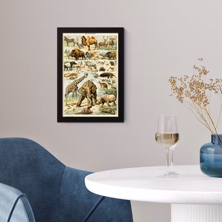 Poster met lijst - Dieren - Kameel - Giraffe - Vintage - Adolphe Millot — 4