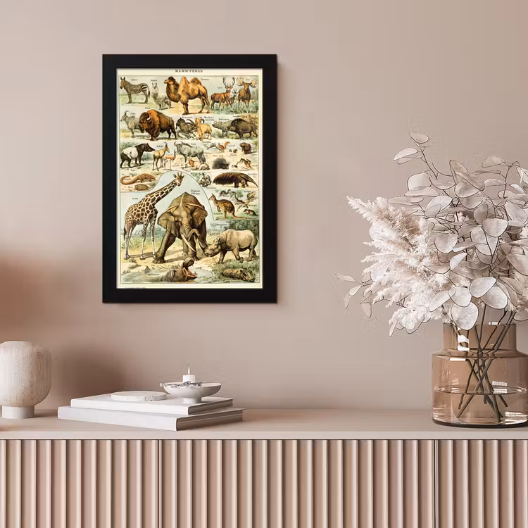 Poster met lijst - Dieren - Kameel - Giraffe - Vintage - Adolphe Millot — 5