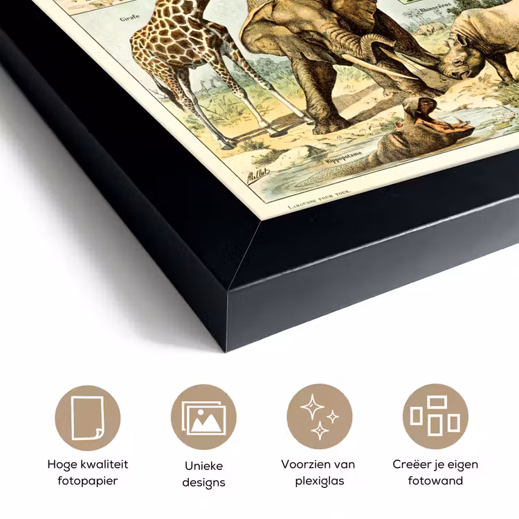Poster met lijst - Dieren - Kameel - Giraffe - Vintage - Adolphe Millot — 6