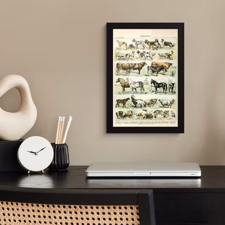 Poster met lijst - Dieren - Paarden - Illustratie - Vintage - Adolphe Millot — 2