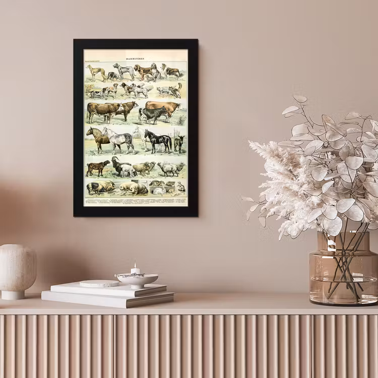 Poster met lijst - Dieren - Paarden - Illustratie - Vintage - Adolphe Millot — 5