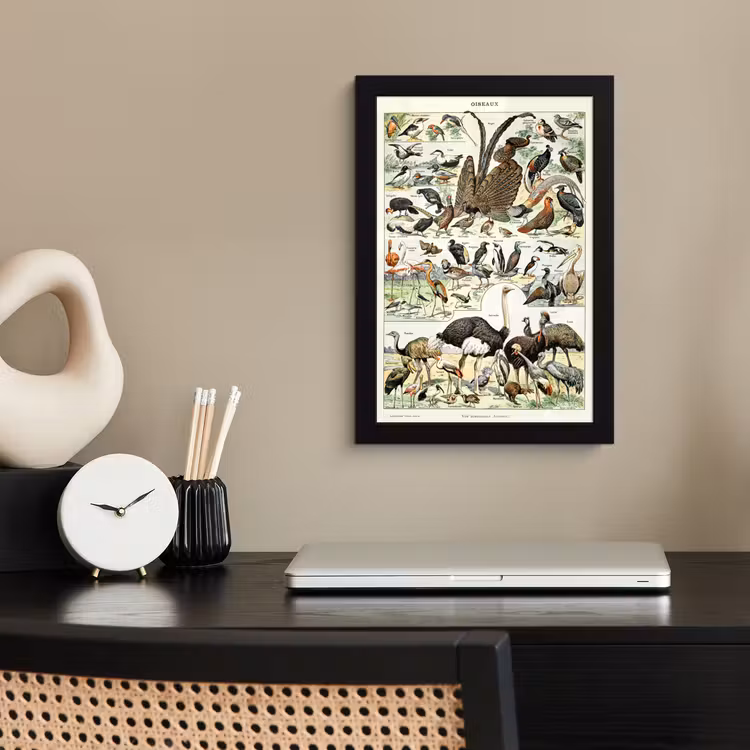 Poster met lijst - Vogel - Natuur - Dieren - Vintage - Kunstwerk — 2