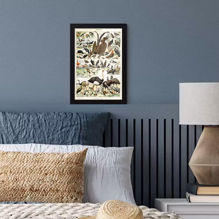 Poster met lijst - Vogel - Natuur - Dieren - Vintage - Kunstwerk — 3