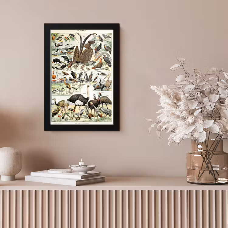 Poster met lijst - Vogel - Natuur - Dieren - Vintage - Kunstwerk — 5