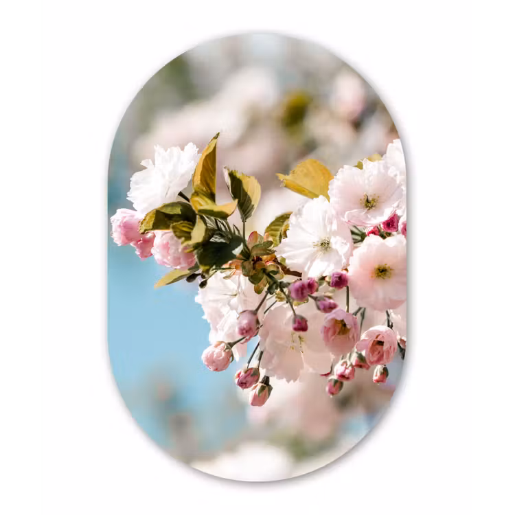 Muurovaal - Bloemen - Bloesem - Lente — 1
