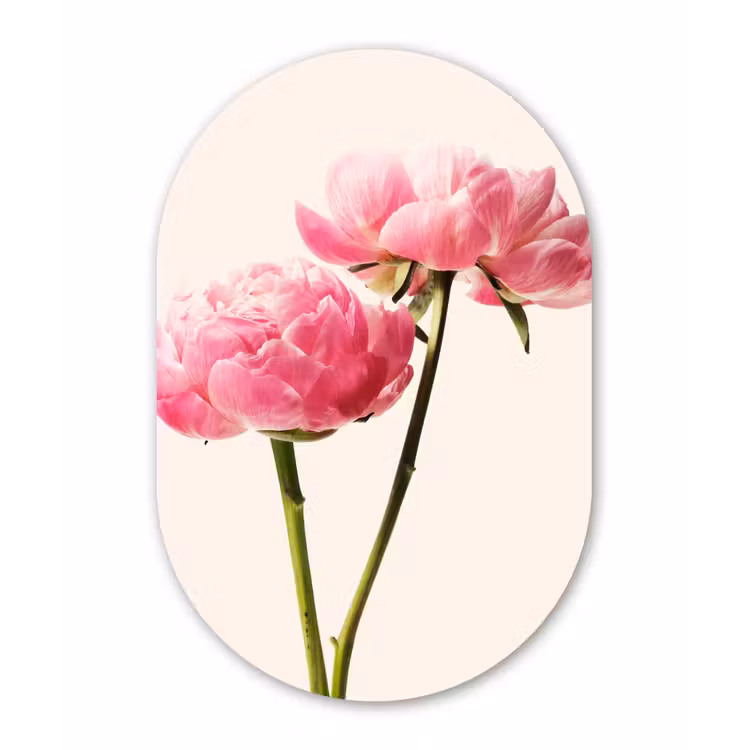 Muurovaal - Bloemen - Bloesem - Roze — 2