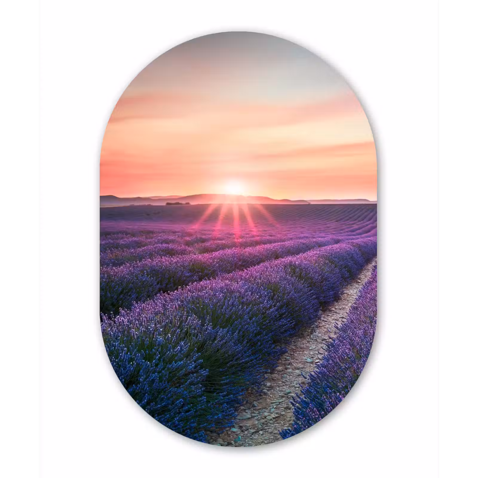 Muurovaal - Lavendel - Paars - Bloemen - Lucht — 1