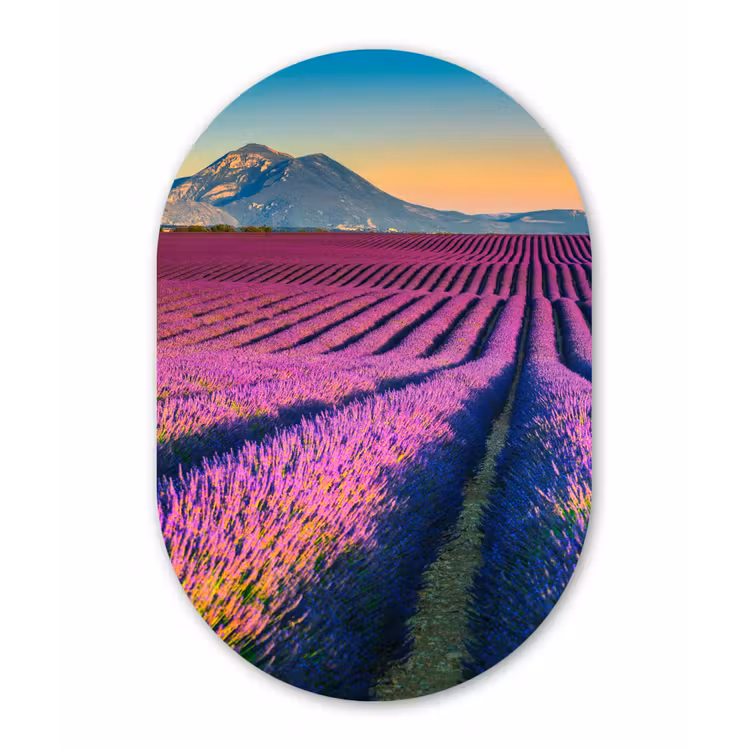 Muurovaal - Lavendel - Berg - Bloemen — 3