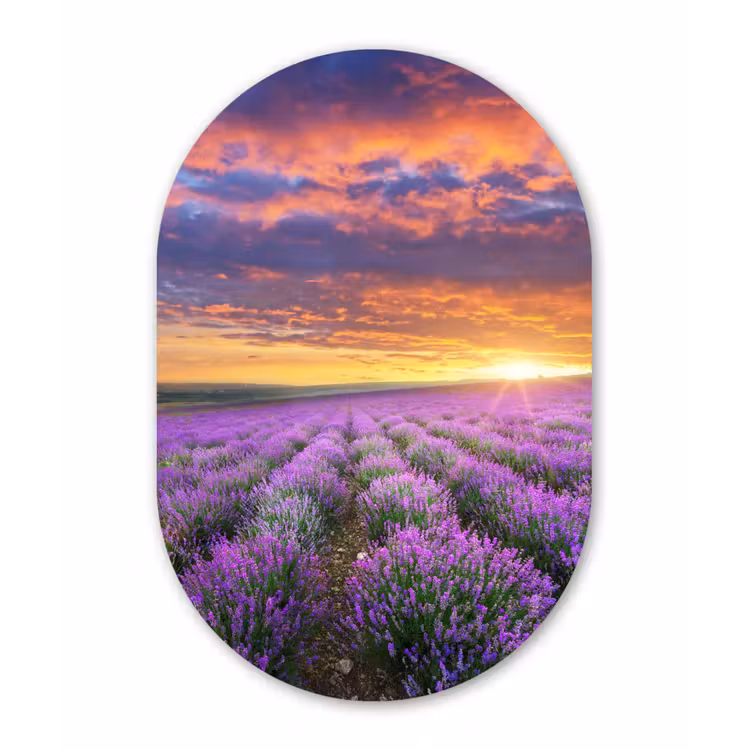 Muurovaal - Lavendel - Wolken - Lente — 1