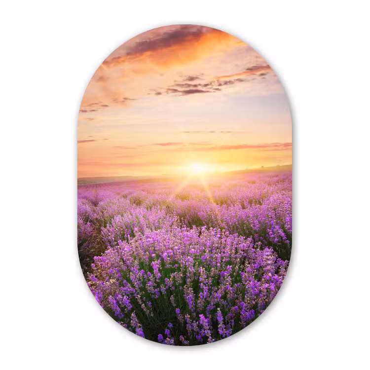 Muurovaal - Lavendel - Zon - Bloemen — 2