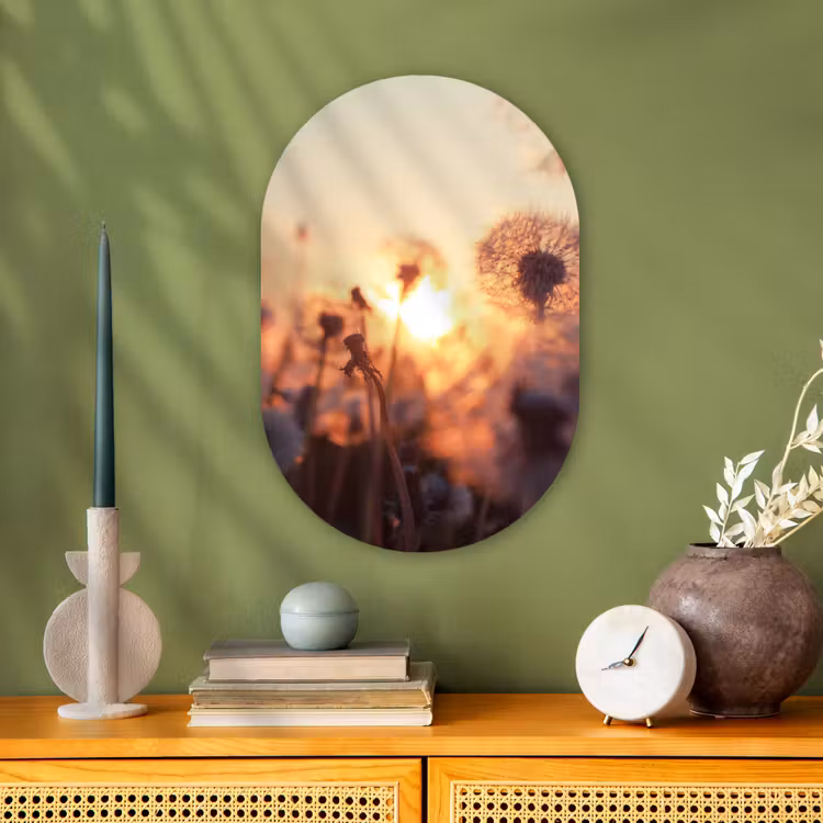 Muurovaal - Paardenbloem - Zonsondergang - Lente — 3