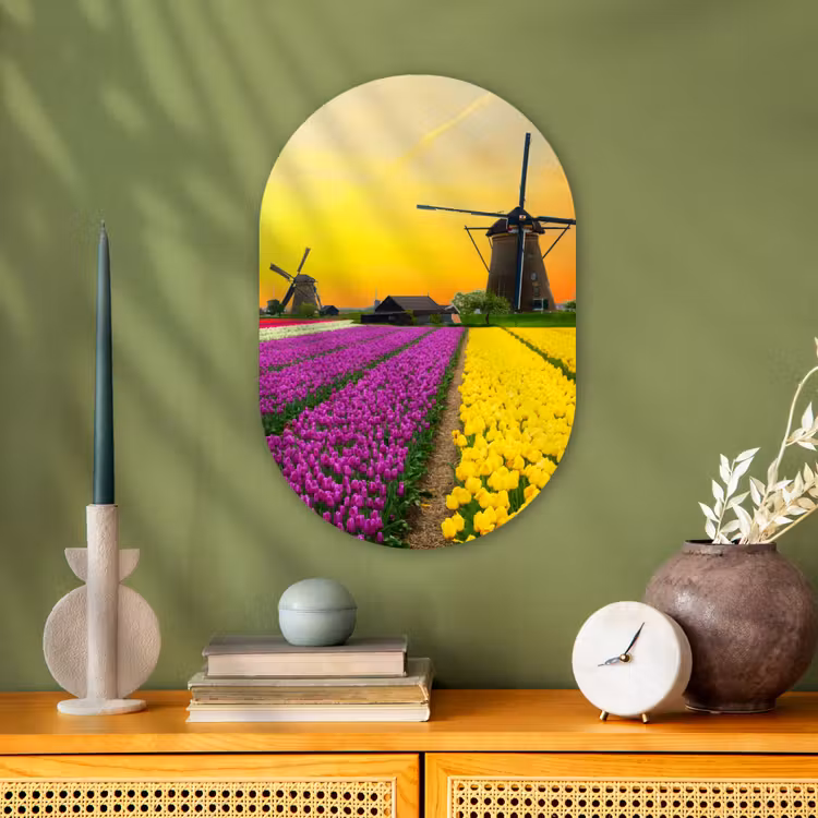 Muurovaal - Windmolen - Tulpen - Bloemen - Lente — 2