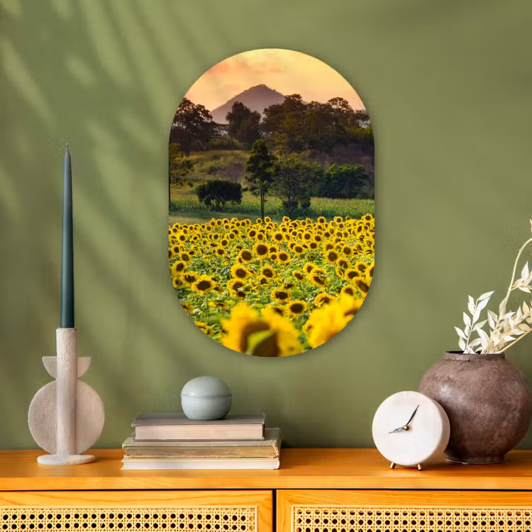 Muurovaal - Zonnebloem - Natuur - Berg — 3