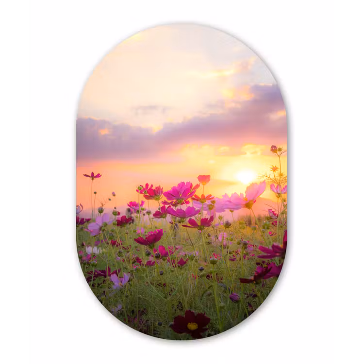 Muurovaal - Zonsondergang - Bloemen - Roze - Natuur - Groen — 3