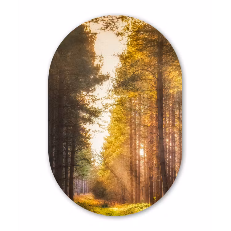 Muurovaal - Boom - Gras - Zon — 2