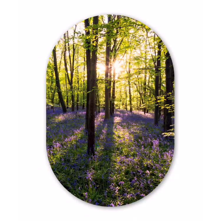 Muurovaal - Bos - Bloemen - Lavendel — 3