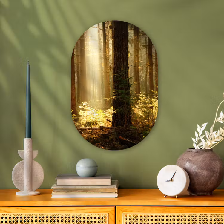 Muurovaal - Bos - Bomen - Zon — 1