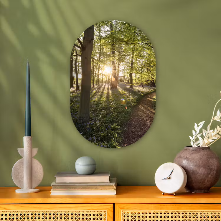 Muurovaal - Bos - Boom - Zon — 2