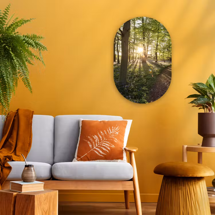 Muurovaal - Bos - Boom - Zon — 3