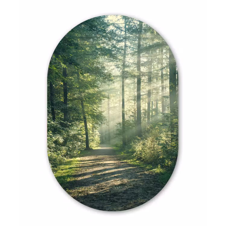Muurovaal - Bos - Licht - Pad — 2